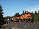 BNSF 7519